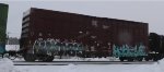 IBT 300258